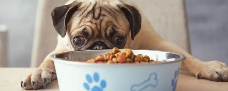 狗可以吃薯片吗
