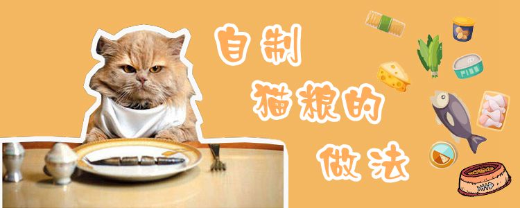 自制猫粮的做法
