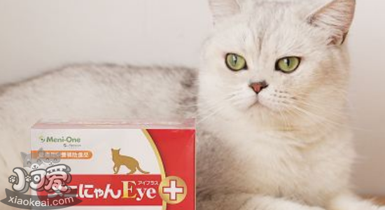 猫吃赖氨酸的好处 猫咪一天该吃多少？