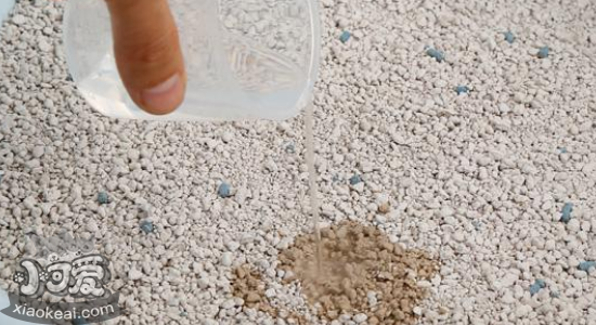 膨润土猫砂怎么样 膨润土猫砂的优缺点
