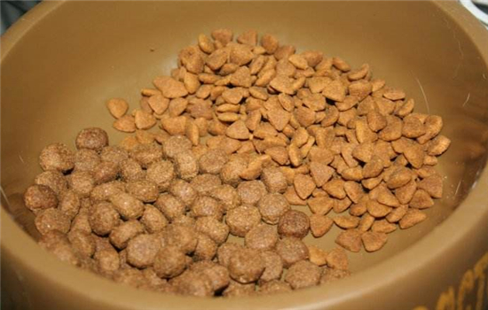 狗粮蛋白质含量多少好 狗粮的蛋白质含量不能过高