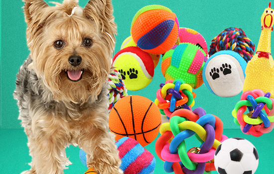 给狗狗买玩具要注意什么 给狗狗买玩具的三注意事项