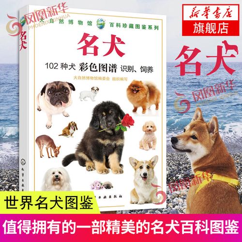 中国的四大名犬(中国的四大名犬有哪些)